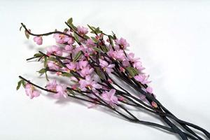 2025年最新版：スイーツとランピングを満喫するための究極ガイド