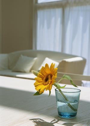 ブックエンドPOPを販売している会社