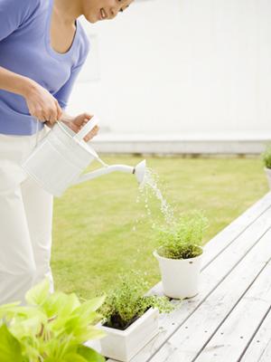 使い捨て弁当箱ならフードームがおすすめ