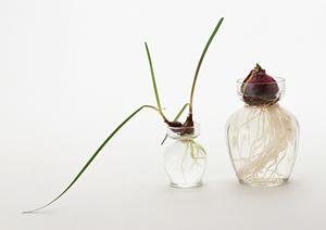 TOKAIモバイルショップ:地域密着型のスマホサポートとお得なキャンペーン情報