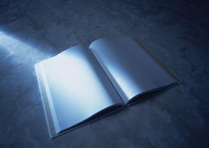 マグネット広告利便性や重要事項