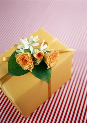 靴のカビ取り方法を徹底解説!効果的なブーツのカビ対策法をご紹介します!